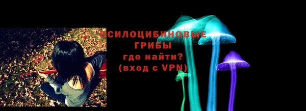 амф Алзамай
