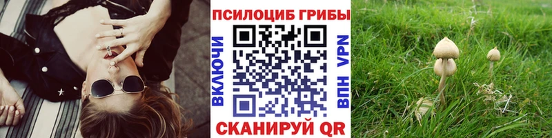Галлюциногенные грибы Cubensis  MEGA ССЫЛКА  Ермолино 